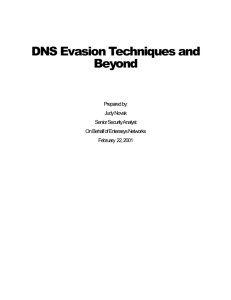 The DNS Query - Vox Technologies