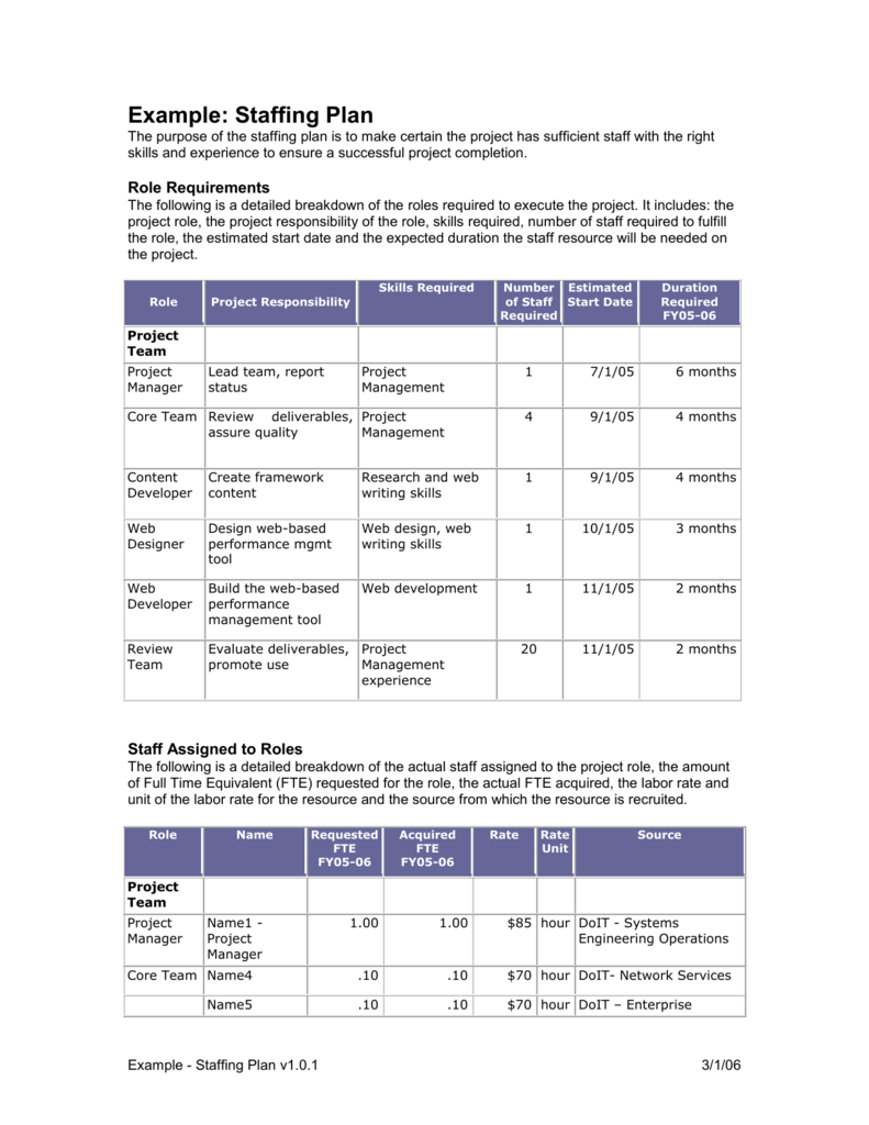 Staffing Plan DoIT Project Management Advisor