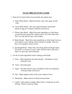 YEAST BREAD STUDY GUIDE