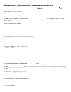 Chromosomes, Mitosis Review, and Meiosis Introduction Name: Per