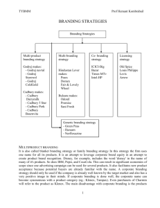 Advantages of a Multi-branding strategy