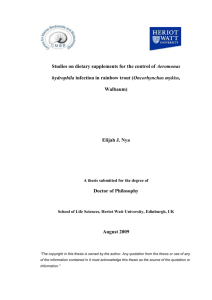 E-thesis Submitted (mandatory for final theses from