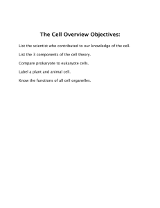 The Cell Overview