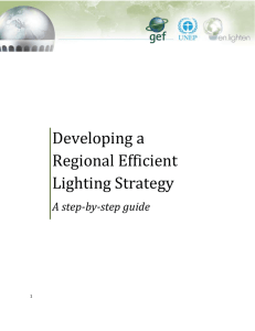 Developing a National or Regional Efficient