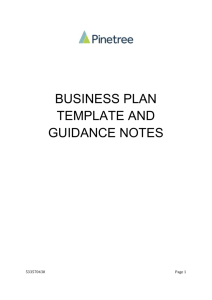 Business Plan Guidance