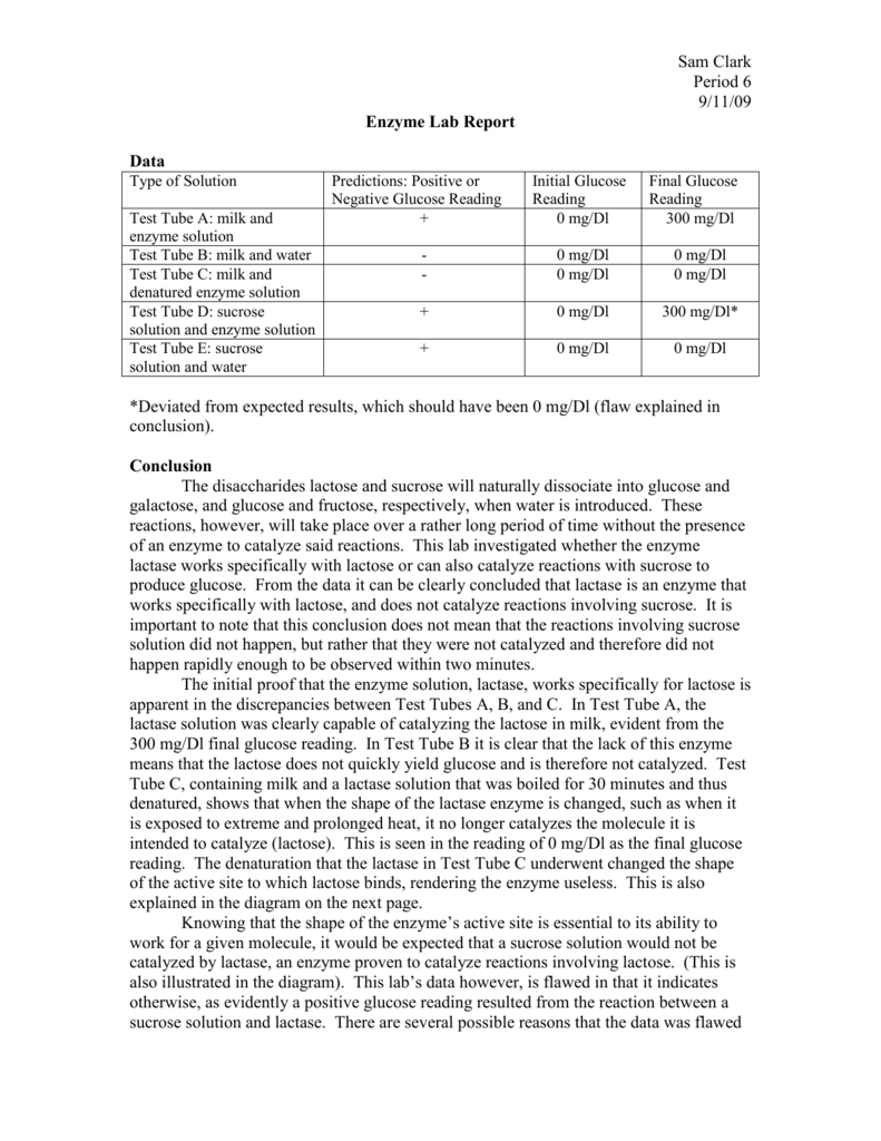 enzymes experiment conclusion