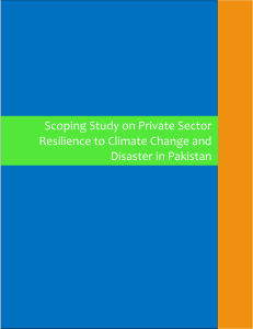 Scoping Study on Private Sector Resilience to