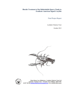 Crayfish Eradication Report
