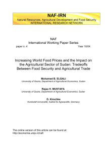 International Working Paper Series