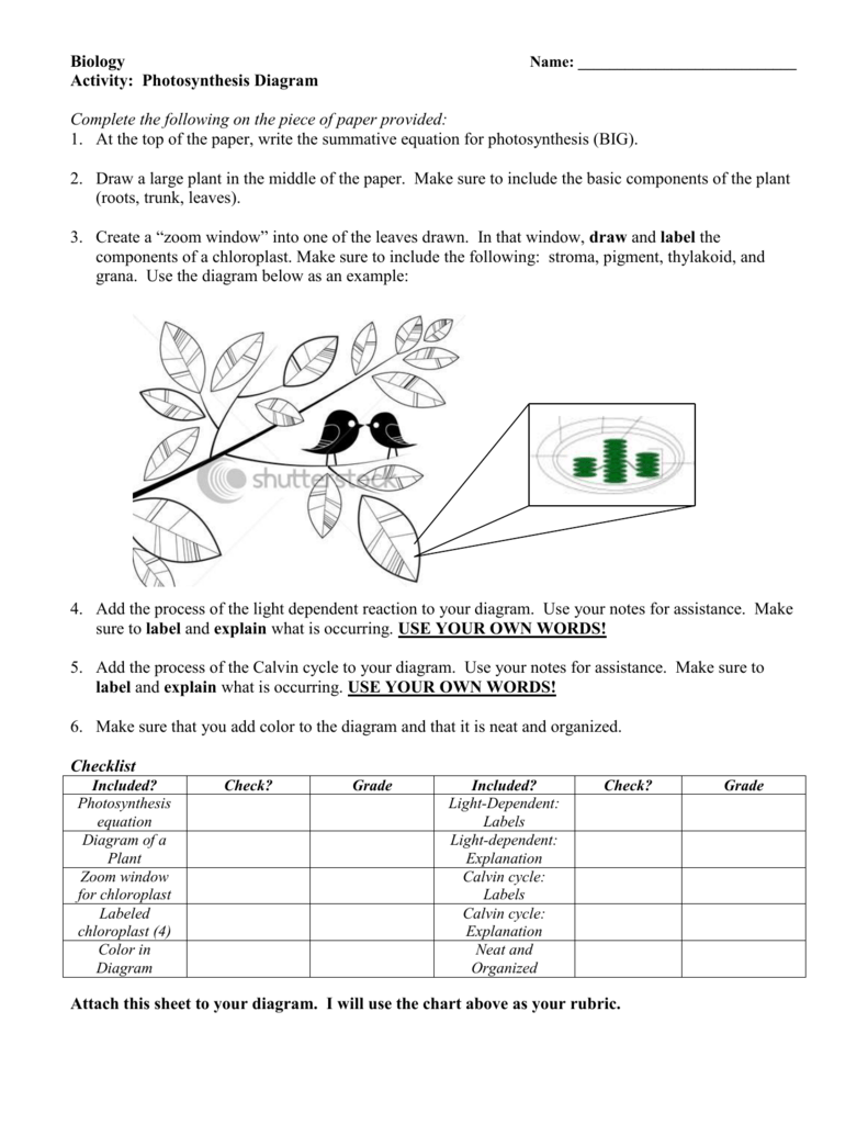 Photosynthesis Diagram Within Photosynthesis Diagrams Worksheet Answers