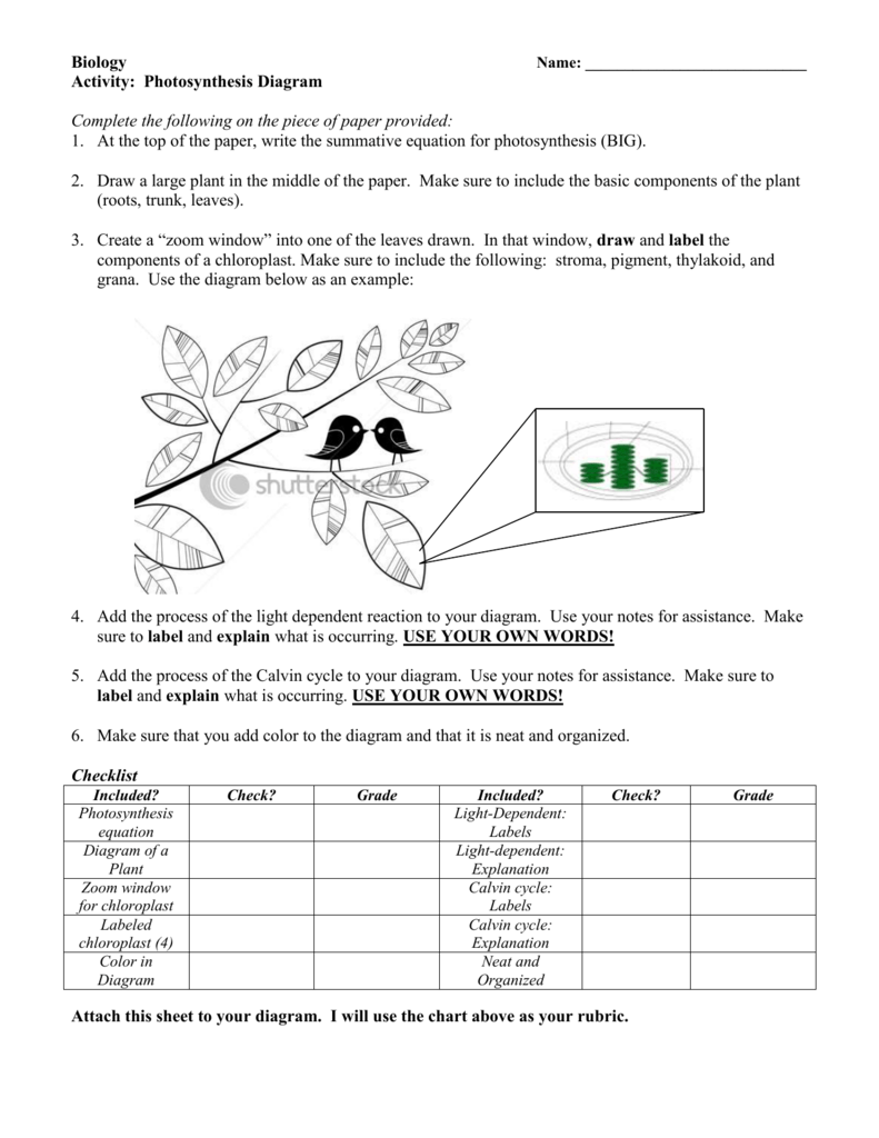 Photosynthesis Diagram With Regard To Photosynthesis Diagrams Worksheet Answers