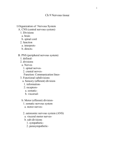 Ch 9 Nervous tissue