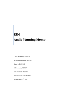 RIM 2011 Audit Planning Memo