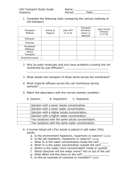 Cell energy study guide