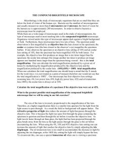 Use of the Compound-Brightfield Microscope