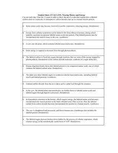 Student Sheet: EVALUATE: Tracing Matter And Energy
