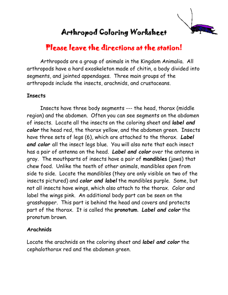 Arthropod Coloring Worksheet