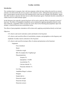 Cardiac Activities