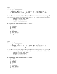 Digestive System Flashcards