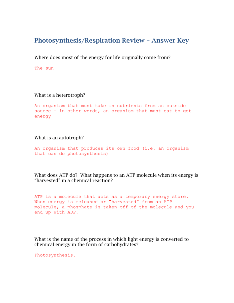 Key - Photosynthesis and Respiration Test For Atp Worksheet Answer Key