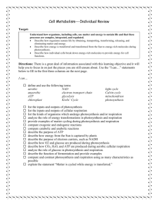 Cell Metabolism Remediation