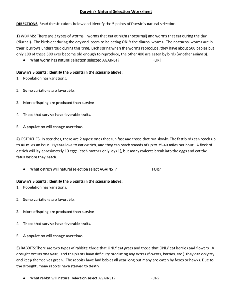 Darwin039s Natural Selection Worksheet Answers