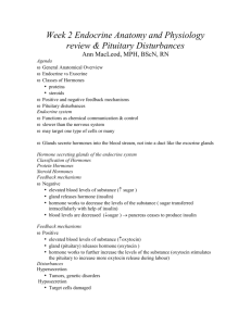 Week 2 Endocrine Anatomy and Physiology review & Pituitary