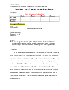 Research Plan - Mrhoffmanssciencefair