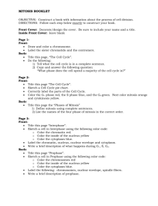 MITOSIS BOOKLET - Lemon Bay High School