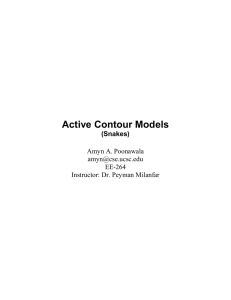 2) Active Contour Models (SNAKES)
