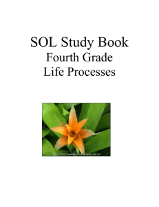 Plant Study Book