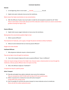 Conclusion Questions: Osmosis In the beginning, there is more
