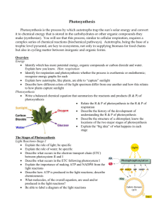 Photosynthesis Quiz: Study Guide