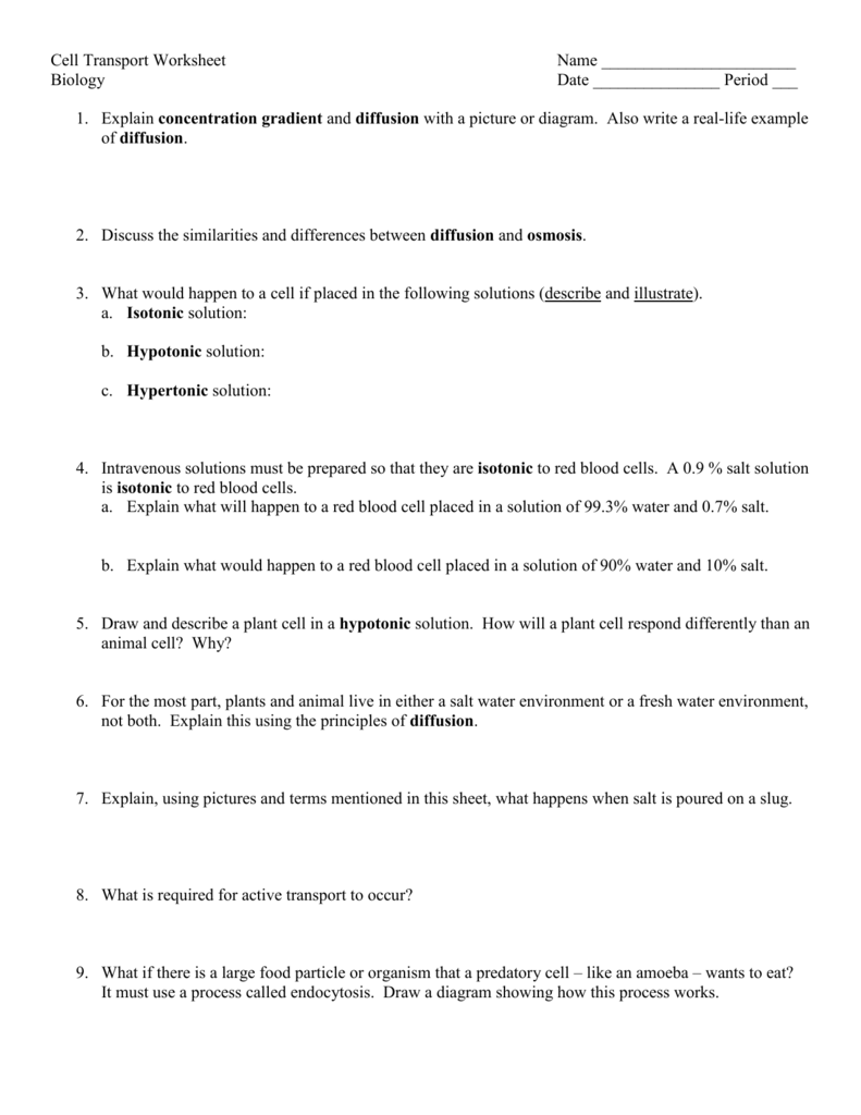 24: Cell – Passive Transport Worksheet Within Cell Transport Worksheet Biology Answers