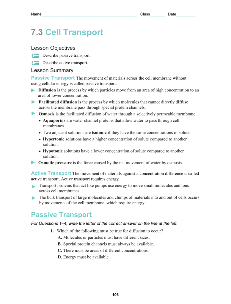 Cell Transport Regarding 7 3 Cell Transport Worksheet Answers%