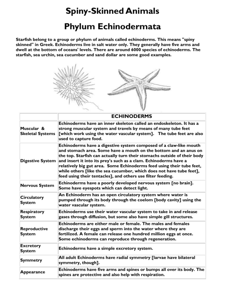 Spiny-Skinned Animals - Fulton County Schools