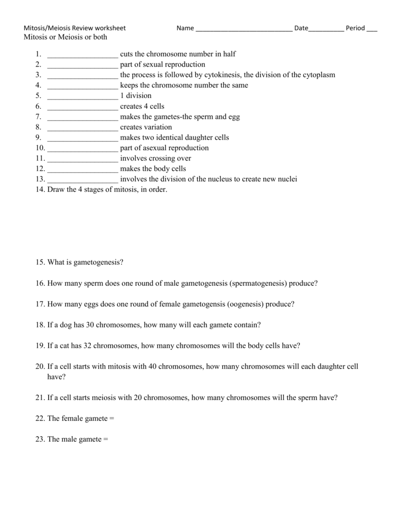 Mitosis and Meiosis Review Worksheet Intended For Meiosis Matching Worksheet Answer Key