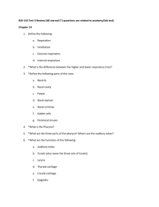BIO 110 Test 3 Review (All starred (*) questions are related to