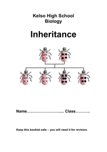 Inheritance Pupil Notes