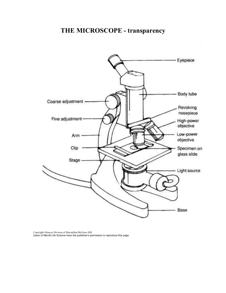 Microscope worksheet Inside Parts Of A Microscope Worksheet