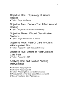Objective One: Physiology of Wound Healing