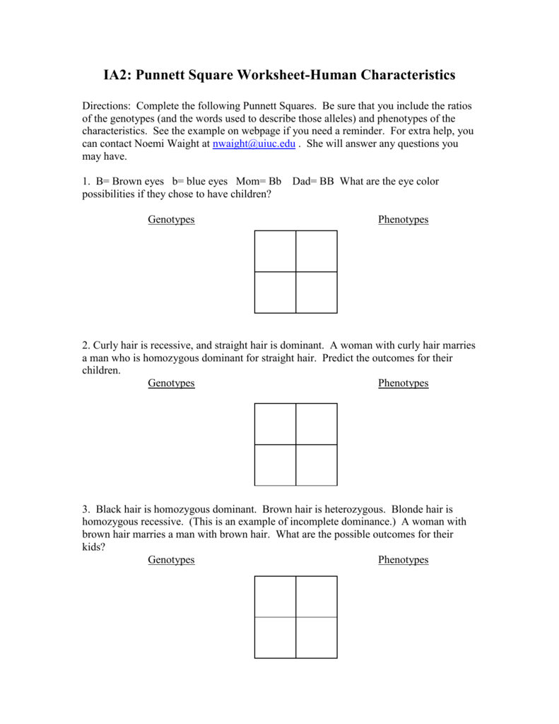 punnett-square-worksheet