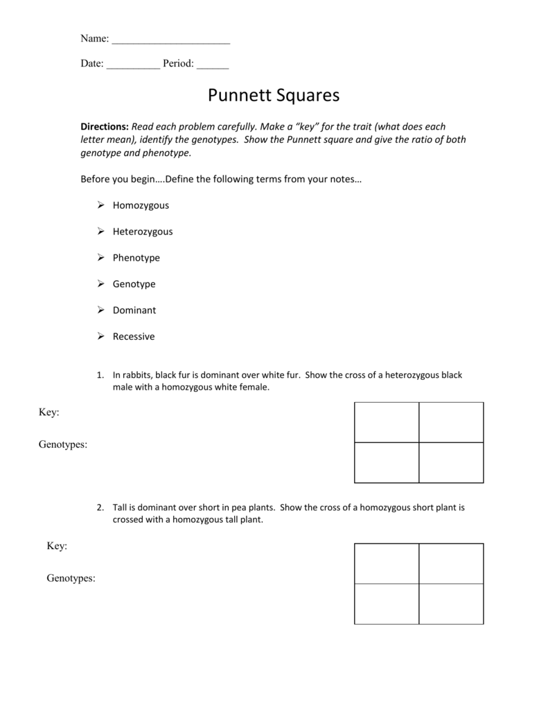 Punnett Square Worksheet 22 Within Genotypes And Phenotypes Worksheet Answers