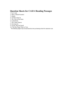 CASI 4 Questions