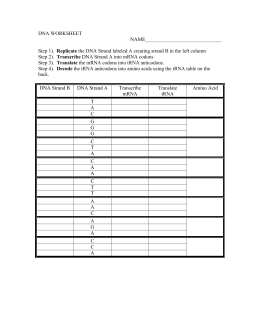 Studylib Net Essys Homework Help Flashcards Research