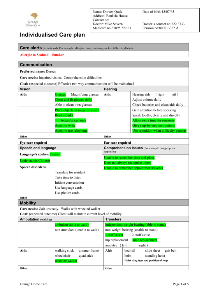 Care Plan Template For Home Care from s3.studylib.net