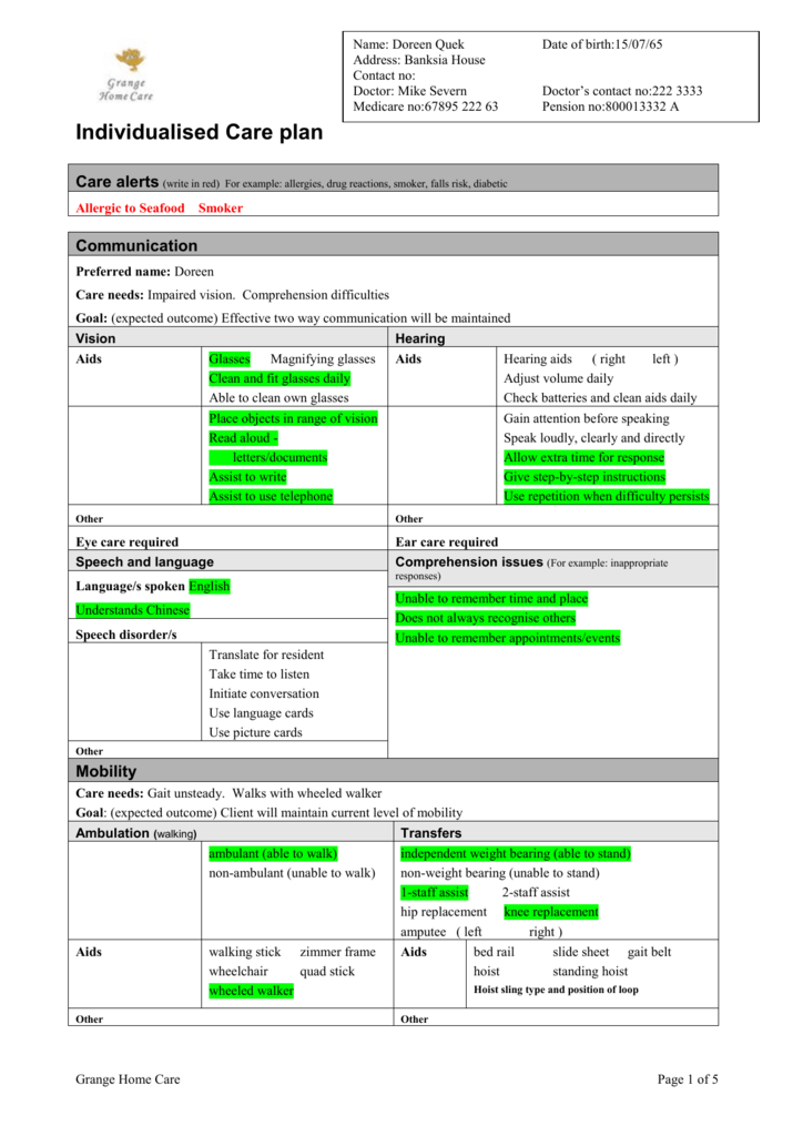 Care Plan Template For Home Care For Your Needs