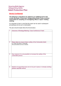 Adult Protection Plan Template