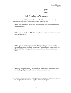 Cell Membranes Worksheet