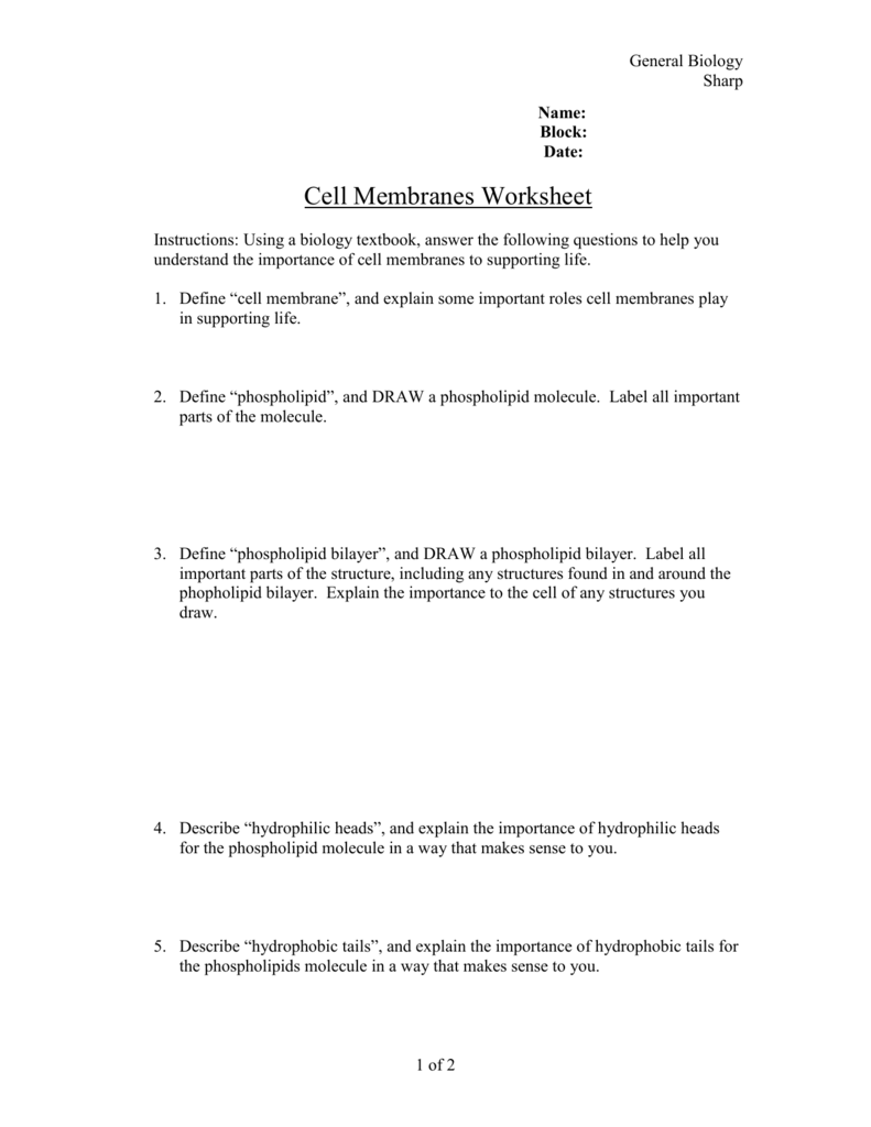 Cell Membranes Worksheet